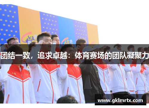 团结一致，追求卓越：体育赛场的团队凝聚力